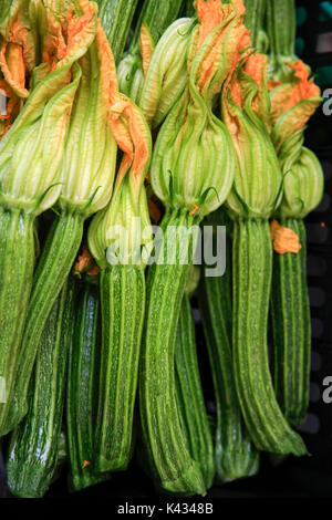 Fiori di zucchina Foto Stock