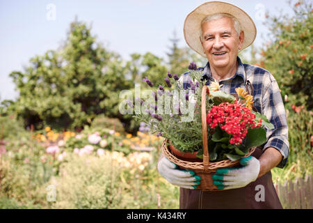 Cesto di bellissimi fiori detenute da uomo senior Foto Stock