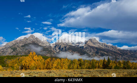 Caduta delle Foglie alla treeline delle Montagne Rocciose Teton Range al Parco Nazionale di Grand Teton 23 Settembre 2016 vicino alci, Wyoming. (Foto di Giovanni Tobiason via Planetpix) Foto Stock