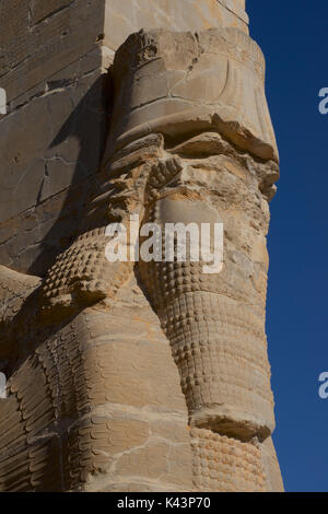 La porta di tutte le nazioni, Persepolis, Iran. Lamassus, tori con le teste di uomo barbuto Foto Stock