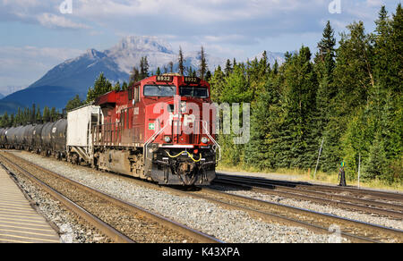 Treno di CP Foto Stock