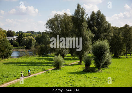 I ciclisti sulle pianure alluvionali del fiume Ruhr a Mülheim an der Ruhr, Germania Foto Stock