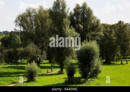 I ciclisti sulle pianure alluvionali del fiume Ruhr a Mülheim an der Ruhr, Germania Foto Stock