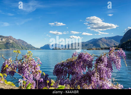 L'Italia, Lombardia, distretto di Como. Lago di Como,Menaggio, Foto Stock