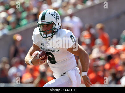 Reser Stadium, Corvallis, O STATI UNITI D'AMERICA. 02Sep, 2017. Portland State Vikings quarterback Cadei Smith (8) durante il NCAA Football gioco tra la Oregon State castori e il Portland State Vichinghi Reser Stadium, Corvallis, o. Larry C. LawsonCSM/Alamy Live News Foto Stock