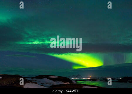Aurora boreale (Aurora borealis) sul lago Myvatn, Islanda Foto Stock