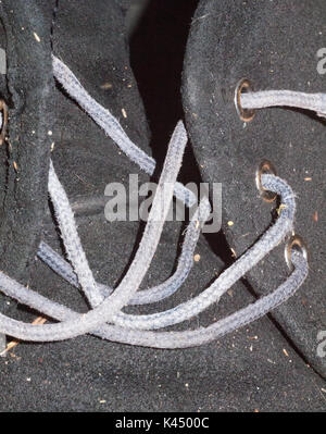 Calzatura pizzo stringa slegato corda blu pelle scamosciata scarpa tessuto; Essex; Inghilterra; Regno Unito Foto Stock