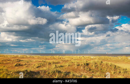 Vista dalla linea di costa in Great Yarmouth del Scroby Sands turbine eoliche in mare Norfh su una luminosa giornata d'estate Foto Stock