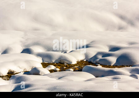 Altopiano di Vezzena, in provincia di Trento, Trentino Alto Adige, Italia. Neve che si scioglie in primavera. Foto Stock