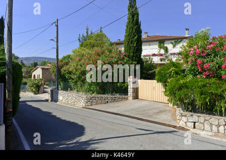 Oleandro (Nerium oleander) e wisteria (wisteria) davanti a un edificio residenziale, mandelieu, Francia Foto Stock