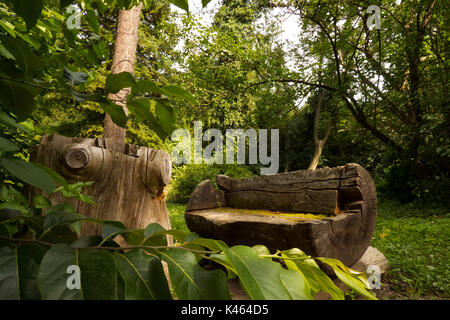 Panca in legno con tavolo in natura. parco dendrologico in simeria, la Romania, l'Europa. Foto Stock