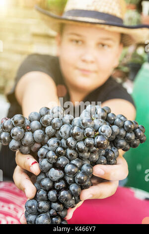 Giovane ragazzo divertente posa con grappolo di uva in mani. Tema vintage. Raccolto autunnale. Contadino con uva. Il giallo dei raggi solari. Foto Stock