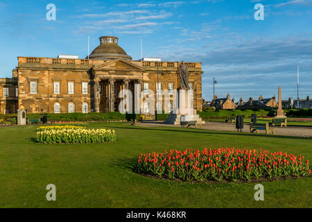 , Ayr Ayrshire, in Scozia, 22 aprile 2017. I tulipani in fiore nei giardini di fronte a Ayr Sherrif corte. Foto Stock