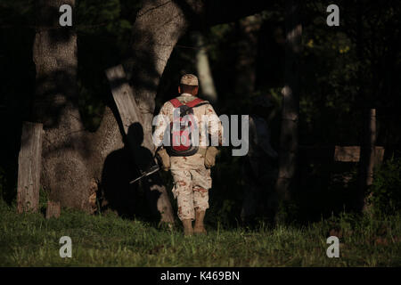 La manodopera de soldados de el ejercito mexicano en la sierra de Sonora Messico duranti la guerra contra los carteles de la droga . Militari sradicate e bruciato 16 tonnellate di cannabis trovata nel Rancho San Jose vicino alla città di Sonora Mex Huachineras. onu soldado de el ejercito mexicano vigila platio onu de Mariguana encontrado en la sierra de Sonora Messico... radio operador informa al cuartel militar el inicio de la operacio de destruccion de la droga... onu militar observa duranti la noche como arden 16 toneladas de Mariguana que fueron destruidas ... duranti la noche 16 toneladas de Mariguan Foto Stock