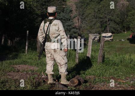 La manodopera de soldados de el ejercito mexicano en la sierra de Sonora Messico duranti la guerra contra los carteles de la droga . Militari sradicate e bruciato 16 tonnellate di cannabis trovata nel Rancho San Jose vicino alla città di Sonora Mex Huachineras. onu soldado de el ejercito mexicano vigila platio onu de Mariguana encontrado en la sierra de Sonora Messico... radio operador informa al cuartel militar el inicio de la operacio de destruccion de la droga... onu militar observa duranti la noche como arden 16 toneladas de Mariguana que fueron destruidas ... duranti la noche 16 toneladas de Mariguan Foto Stock