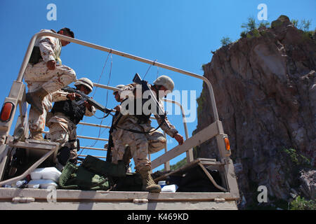 La manodopera de soldados de el ejercito mexicano en la sierra de Sonora Messico duranti la guerra contra los carteles de la droga . Militari sradicate e bruciato 16 tonnellate di cannabis trovata nel Rancho San Jose vicino alla città di Sonora Mex Huachineras. onu soldado de el ejercito mexicano vigila platio onu de Mariguana encontrado en la sierra de Sonora Messico... radio operador informa al cuartel militar el inicio de la operacio de destruccion de la droga... onu militar observa duranti la noche como arden 16 toneladas de Mariguana que fueron destruidas ... duranti la noche 16 toneladas de Mariguan Foto Stock