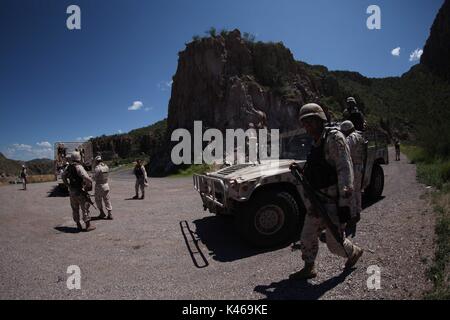 La manodopera de soldados de el ejercito mexicano en la sierra de Sonora Messico duranti la guerra contra los carteles de la droga . Militari sradicate e bruciato 16 tonnellate di cannabis trovata nel Rancho San Jose vicino alla città di Sonora Mex Huachineras. onu soldado de el ejercito mexicano vigila platio onu de Mariguana encontrado en la sierra de Sonora Messico... radio operador informa al cuartel militar el inicio de la operacio de destruccion de la droga... onu militar observa duranti la noche como arden 16 toneladas de Mariguana que fueron destruidas ... duranti la noche 16 toneladas de Mariguan Foto Stock