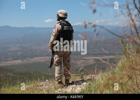 La manodopera de soldados de el ejercito mexicano en la sierra de Sonora Messico duranti la guerra contra los carteles de la droga . Militari sradicate e bruciato 16 tonnellate di cannabis trovata nel Rancho San Jose vicino alla città di Sonora Mex Huachineras. onu soldado de el ejercito mexicano vigila platio onu de Mariguana encontrado en la sierra de Sonora Messico... radio operador informa al cuartel militar el inicio de la operacio de destruccion de la droga... onu militar observa duranti la noche como arden 16 toneladas de Mariguana que fueron destruidas ... duranti la noche 16 toneladas de Mariguan Foto Stock