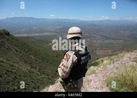 La manodopera de soldados de el ejercito mexicano en la sierra de Sonora Messico duranti la guerra contra los carteles de la droga . Militari sradicate e bruciato 16 tonnellate di cannabis trovata nel Rancho San Jose vicino alla città di Sonora Mex Huachineras. onu soldado de el ejercito mexicano vigila platio onu de Mariguana encontrado en la sierra de Sonora Messico... radio operador informa al cuartel militar el inicio de la operacio de destruccion de la droga... onu militar observa duranti la noche como arden 16 toneladas de Mariguana que fueron destruidas ... duranti la noche 16 toneladas de Mariguan Foto Stock