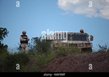 La manodopera de soldados de el ejercito mexicano en la sierra de Sonora Messico duranti la guerra contra los carteles de la droga . Militari sradicate e bruciato 16 tonnellate di cannabis trovata nel Rancho San Jose vicino alla città di Sonora Mex Huachineras. onu soldado de el ejercito mexicano vigila platio onu de Mariguana encontrado en la sierra de Sonora Messico... radio operador informa al cuartel militar el inicio de la operacio de destruccion de la droga... onu militar observa duranti la noche como arden 16 toneladas de Mariguana que fueron destruidas ... duranti la noche 16 toneladas de Mariguan Foto Stock