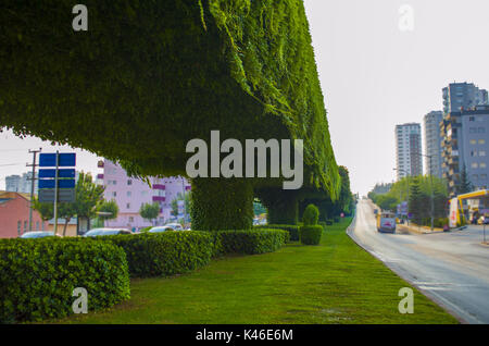 Ponte e ponte della metropolitana Foto Stock