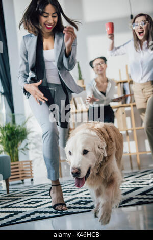 Allegro giovani imprenditrici giocando con il golden retriever cane in ufficio moderno Foto Stock