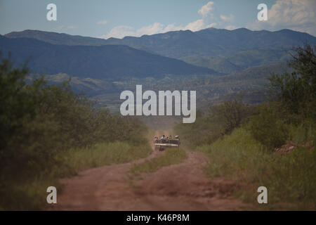 La manodopera de soldados de el ejercito mexicano en la sierra de Sonora Messico duranti la guerra contra los carteles de la droga . Militari e sradicate Foto Stock