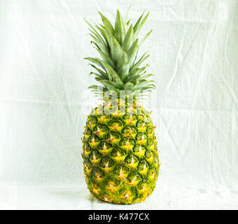 1 ananas isolato su un panno bianco Foto Stock