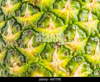 Texture di sfondo close up di ananas lolla Foto Stock