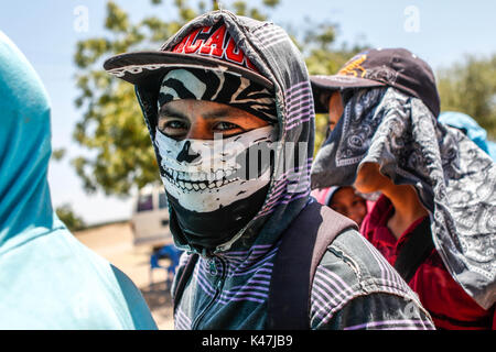 Bahia de Kino, Flora y Fauna del Desierto de Punta Chueca, San Nicolas Sonora Messico Foto Stock
