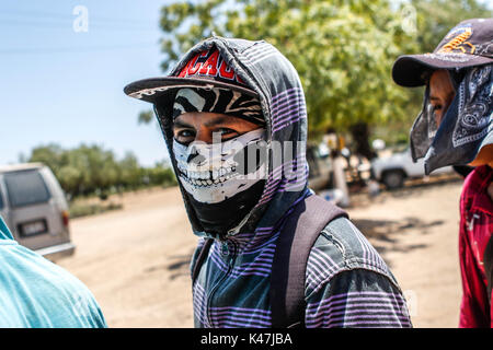 Bahia de Kino, Flora y Fauna del Desierto de Punta Chueca, San Nicolas Sonora Messico Foto Stock