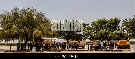 Bahia de Kino, Flora y Fauna del Desierto de Punta Chueca, San Nicolas Sonora Messico Foto Stock