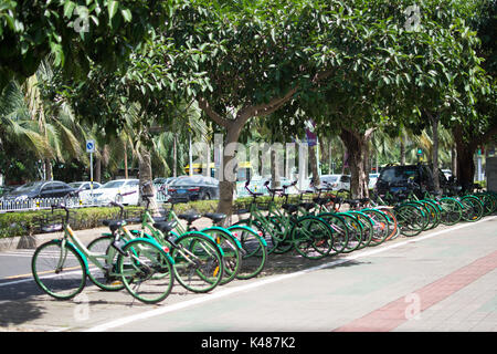 Noleggio di biciclette in Haikou, Cina Foto Stock