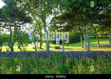 Il tè osulloc museum e la piantagione di tè situato accanto al innisfree house store e cafe di seogwipo sull'isola di Jeju in Corea del Sud Foto Stock