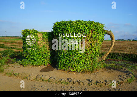 Il tè osulloc museum e la piantagione di tè situato accanto al innisfree house store e cafe di seogwipo sull'isola di Jeju in Corea del Sud Foto Stock