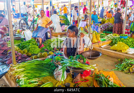 Wellawaya, sri lanka - 2 dicembre 2016: il commerciante senior propone freschi e porri e altri ortaggi in coperto mercato ortofrutticolo, il 2 dicembre in ben Foto Stock