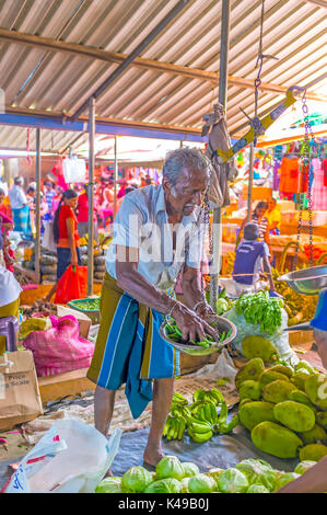 Wellawaya, sri lanka - 2 dicembre 2016: il senior mercante vegetale pesate fagioli sul mercato wellawaya, il 2 dicembre in wellawaya Foto Stock