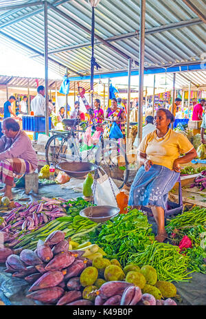 Wellawaya, sri lanka - 2 dicembre 2016: il commerciante nel mercato ortofrutticolo si trova circondato con merci per la vendita, come banana fiori, jackfruits, uovo Foto Stock