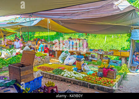 Wellawaya, sri lanka - 2 dicembre 2016: i lati del mercato coperto in wellawaya occupato da bancarelle di pulci che offre una vasta gamma di ortaggi ed essiccato Foto Stock