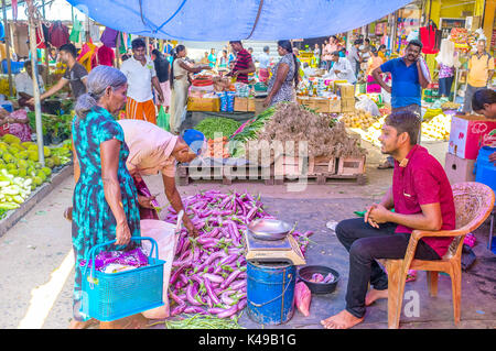 Wellawaya, sri lanka - 2 dicembre 2016: il giovane mercante offre le melanzane nel mercato degli agricoltori in wellawaya, il 2 dicembre in wellawaya Foto Stock