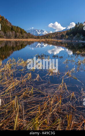 Boschi si riflette nel lago alpino, Pian di Gembro, Aprica, Lombardia, Italia Foto Stock