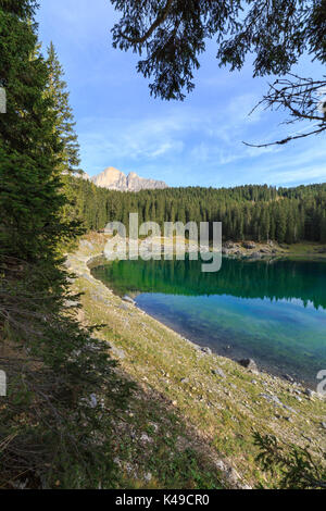 Gli alberi si riflette nelle verdi acque del lago di carezza. catinaccio Dolomiti Val d'Ega Alto Adige trentino alto adige italia Foto Stock
