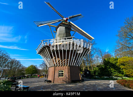 Mulino a vento olandese a Giardini Keukenhof, Lisse vicino a Leiden, Paesi Bassi Foto Stock