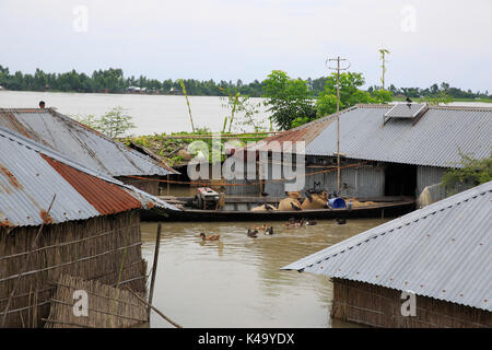 Regioni colpite dalle inondazioni a Chilmari in Kurigram, Bangladesh. Foto Stock