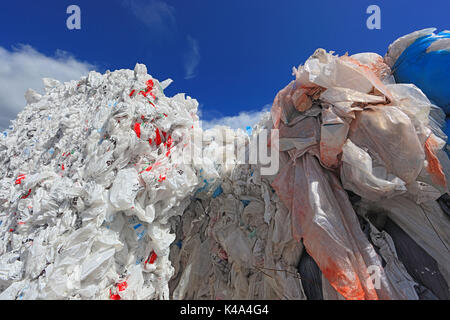 Balle con fogli di plastica per il riciclaggio di plastica in una società di riciclaggio, Ballen mit Plastikfolien fuer das Kunststoffrecycling in einem Recyclingbet Foto Stock