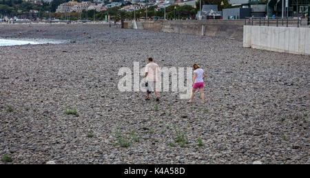 Spiaggia di pietra Foto Stock