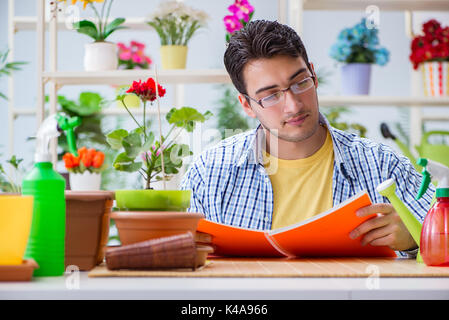 Giovane uomo fioraio lavora in un negozio di fiori Foto Stock