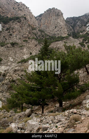 Rouvas Gorge è un profondo canyon di calcare in esecuzione dalla montagna Psiloritis verso la costa sud di Creta. Oggi è una popolare escursione. Foto Stock