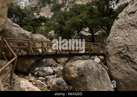 Rouvas Gorge è un profondo canyon di calcare in esecuzione dalla montagna Psiloritis verso la costa sud di Creta. Oggi è una popolare escursione. Foto Stock