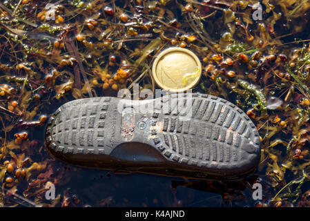 Karlskrona, Svezia - 28 agosto 2017: ambientale documentario di inquinamento del mare. Boot e coperchio gettati in mare con wrack della vescica. Foto Stock